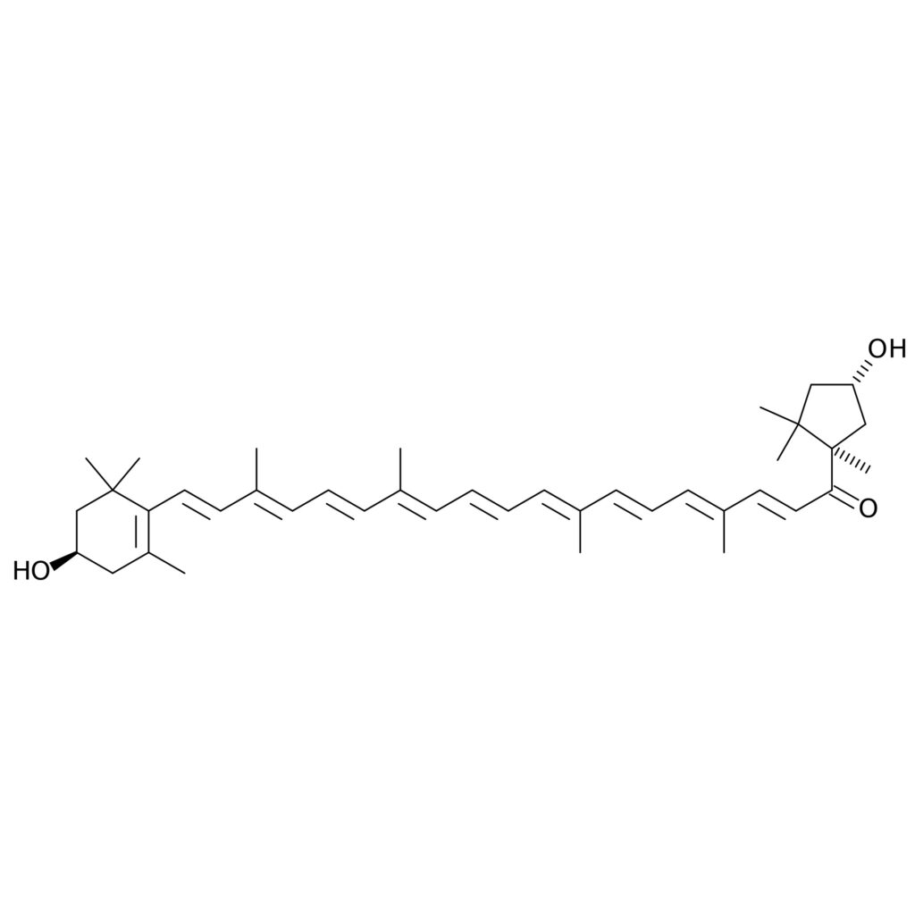 Paprika Capsanthin Capsorubin E160c orange water soluble dye 10 kgs